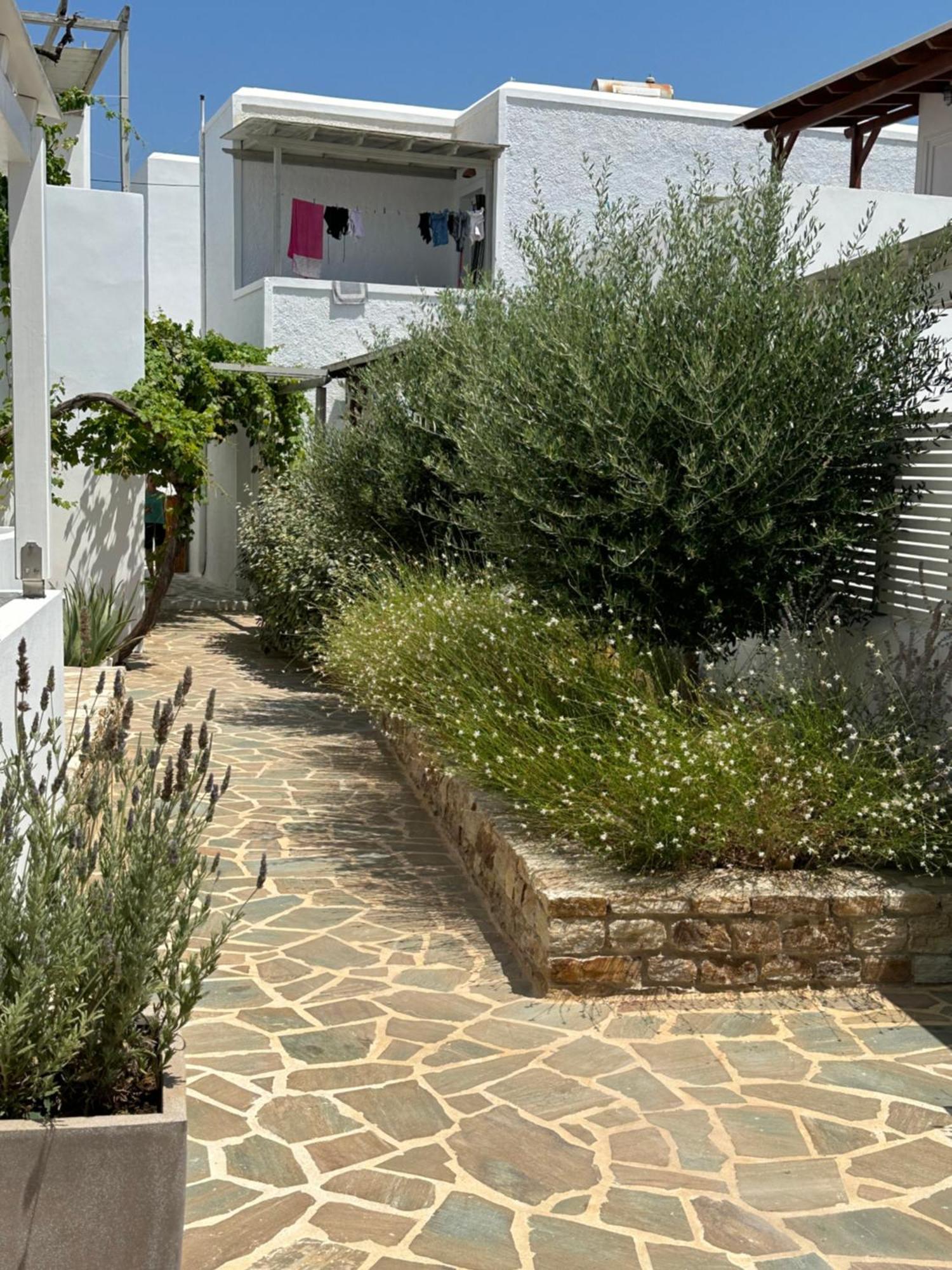 Levanda Guest Houses Андипарос Екстериор снимка